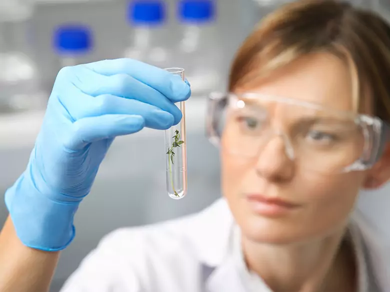 Zwierzęta oporne na nowotwory