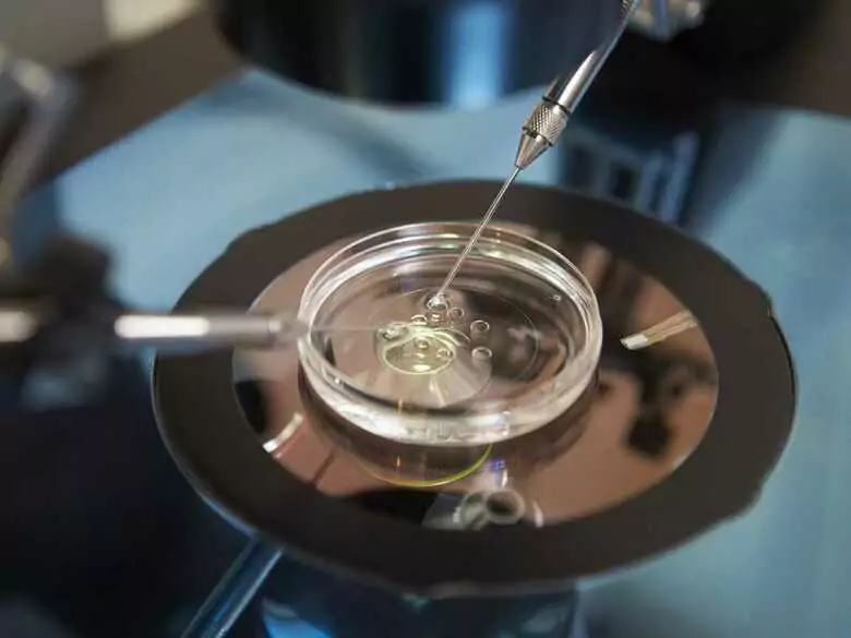 Model do badań nad rakiem jajnika – sukces Polskich naukowców!