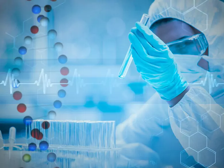 Rabarbarowy barwnik w walce z rakiem