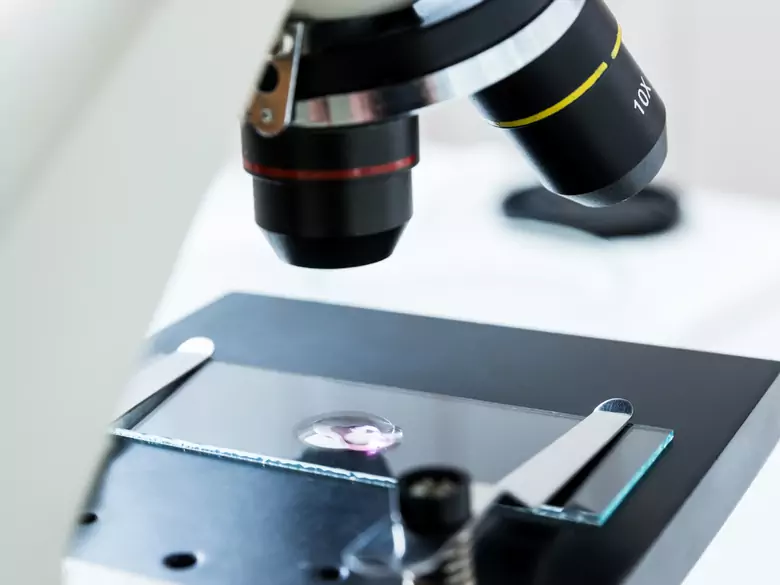 Project Manager w badaniu klinicznym - dyrygent czy człowiek-orkiestra?