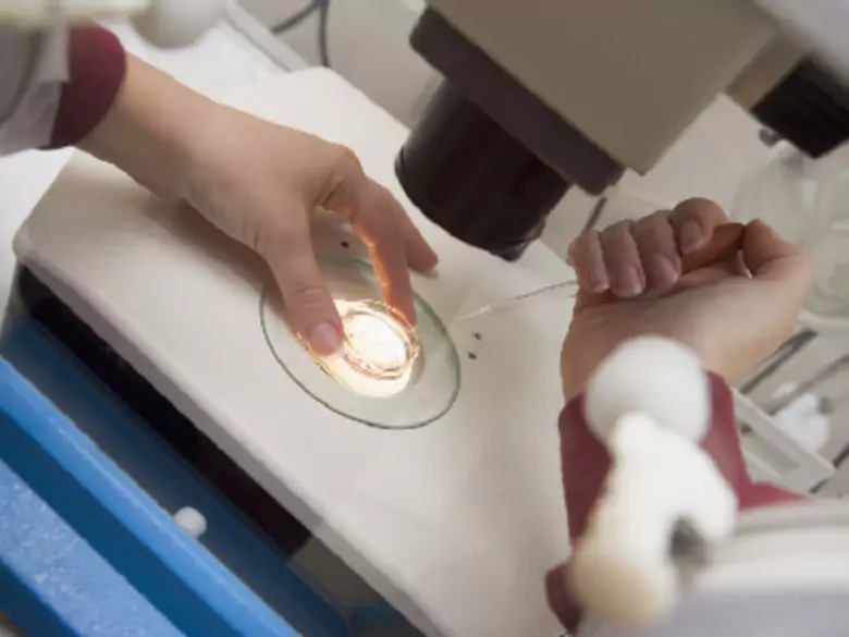 Przeciwnowotworowe działanie kurkuminy