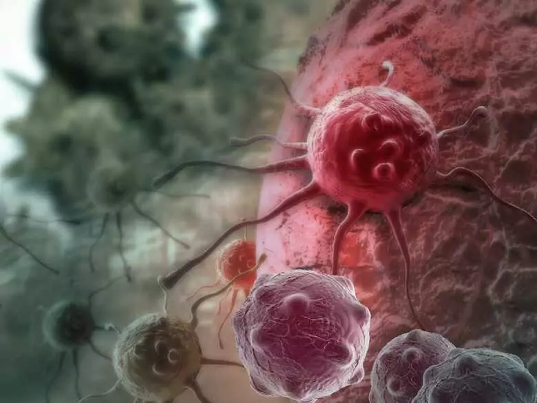 Polak potrafi, czyli o innowacyjnych lekach do walki z bakteriami