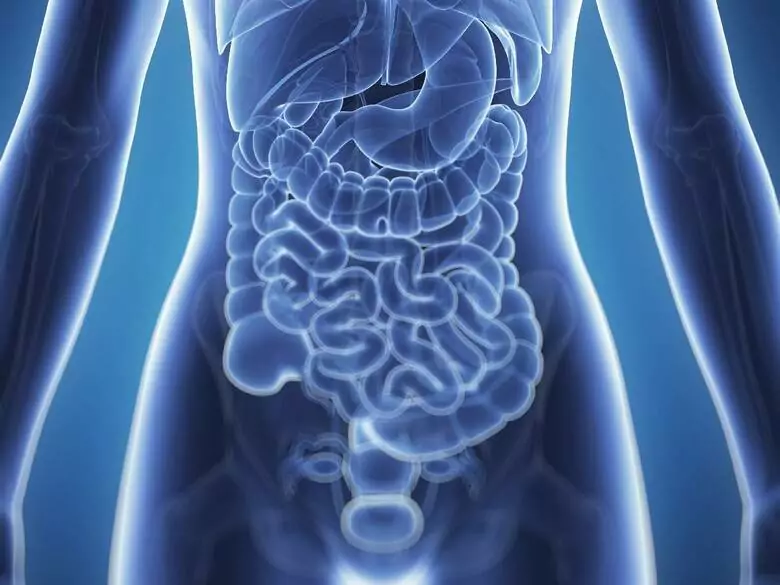 Zdrowy żołądek - jak o niego dbać