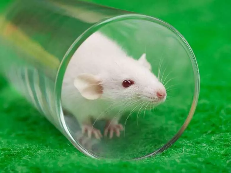 Emocje mogą mieć wpływ na tempo wzrostu nowotworów