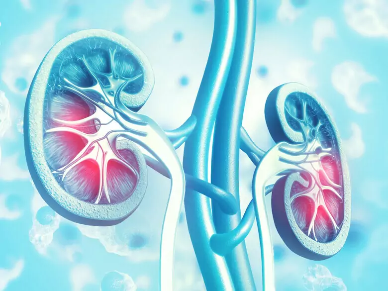 Chorzy pozostawieni bez jedynej refundowanej flozyny odraczającej dializy lub przeszczepienie nerki