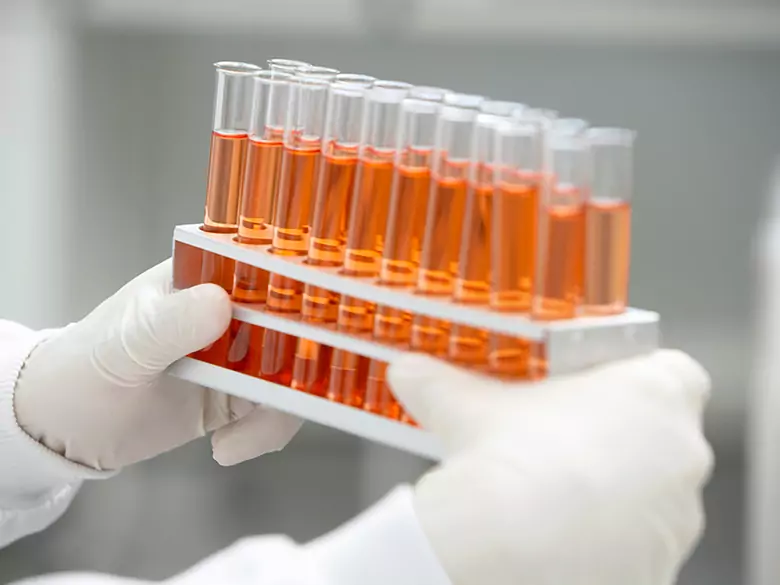 Polscy specjaliści twórcami innowacyjnego płynu do transplantacji narządów